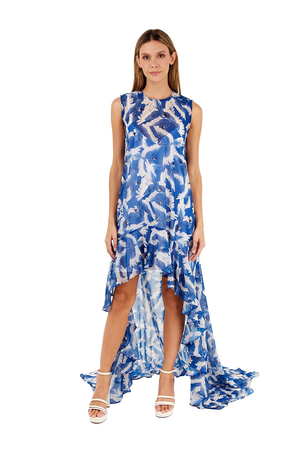 Vestido Largo Aviva Estampado Azul