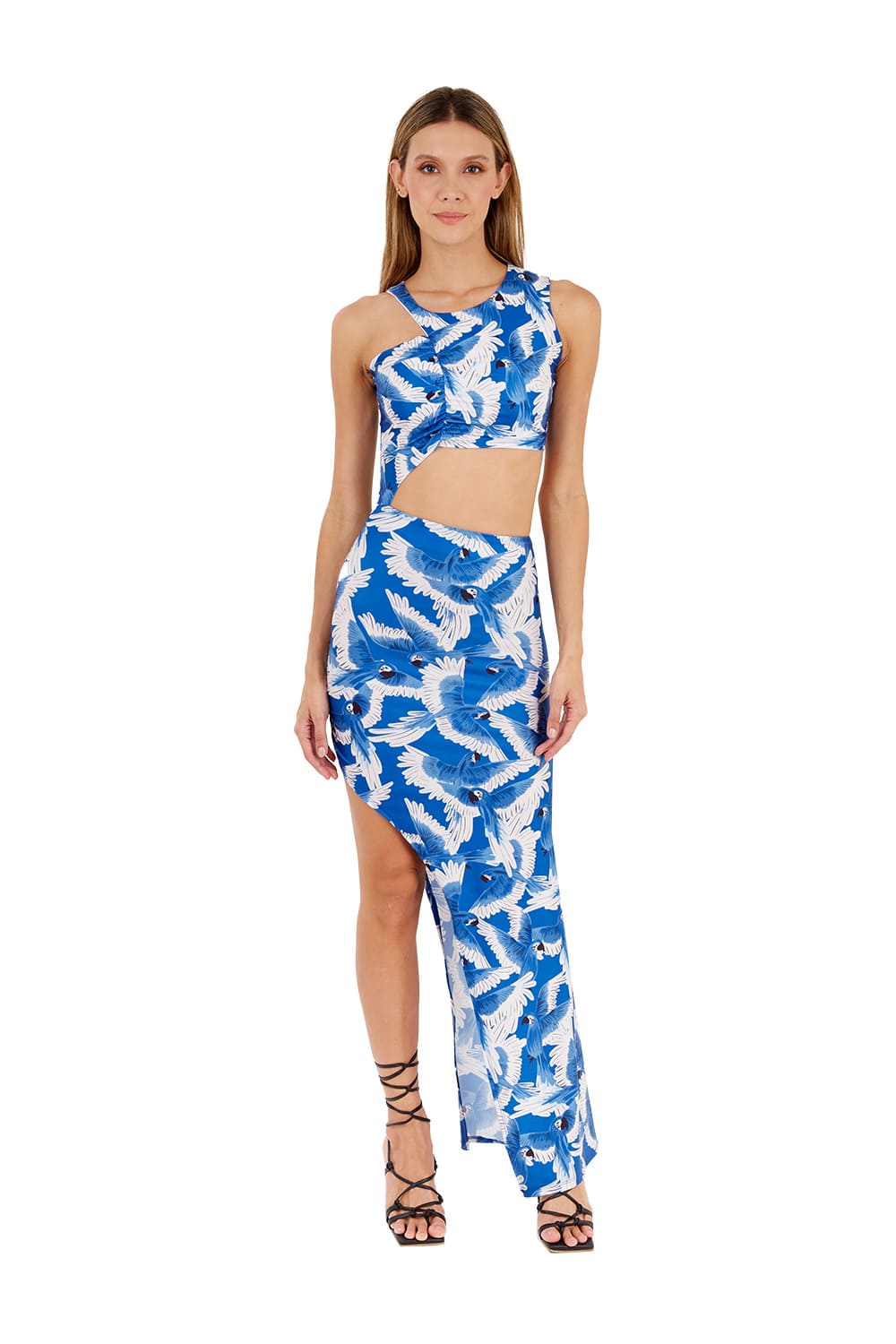 Vestido Largo Felicity Estampado Azul